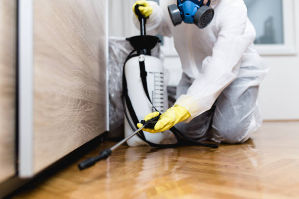 Flea Control Services in Blackfoot, ID