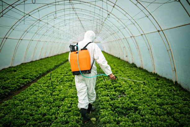 Best Pest Control Near Me in Blackfoot, ID