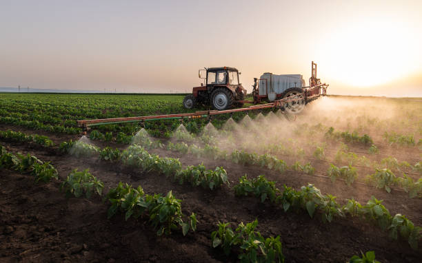 Best Pest Removal Services  in Blackfoot, ID