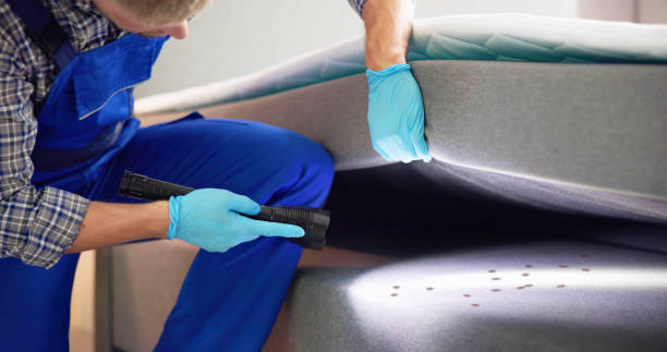 Best Termite Control Services  in Blackfoot, ID