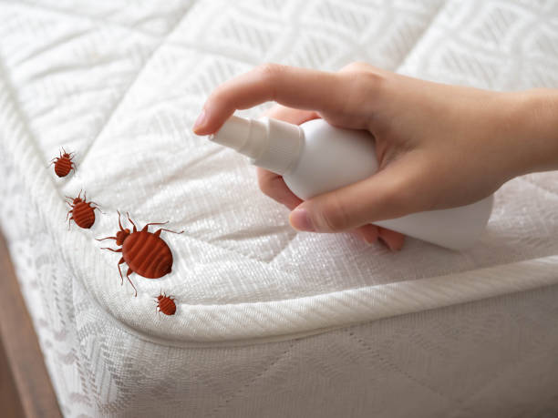 Best Pest Inspection Near Me  in Blackfoot, ID
