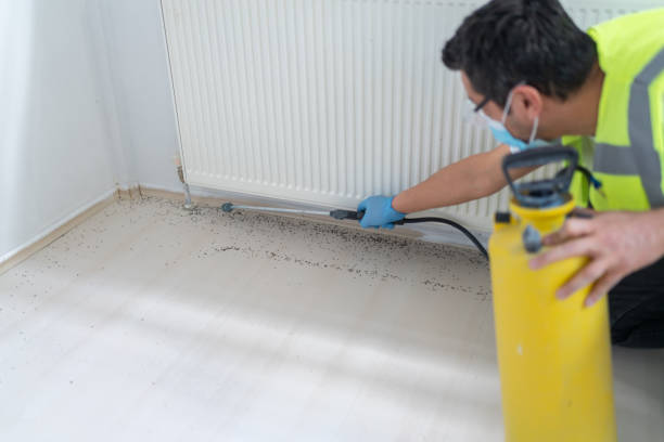 Reliable Blackfoot, ID Pest Control Solutions