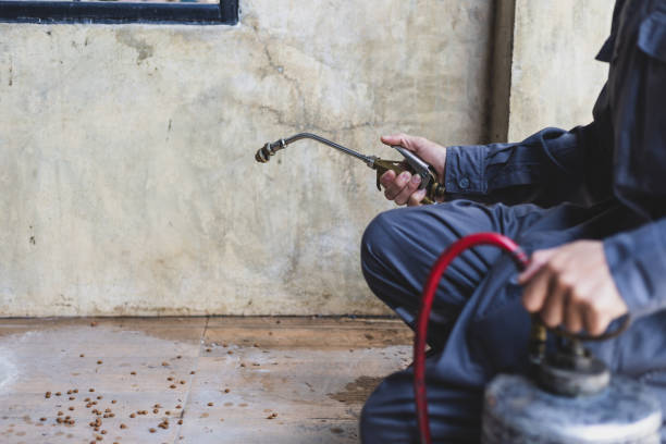 Best Best Pest Control Near Me  in Blackfoot, ID